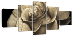 Retro Rose Wall Art