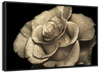 Retro Rose Wall Art