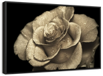 Retro Rose Wall Art