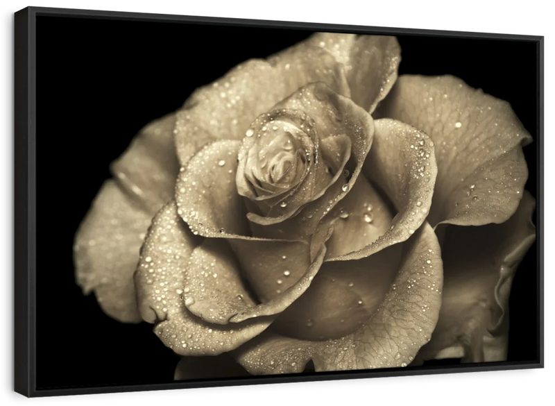 Retro Rose Wall Art