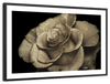 Retro Rose Wall Art
