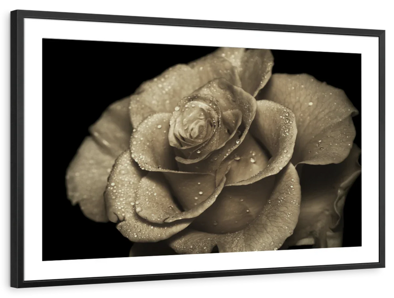 Retro Rose Wall Art