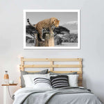 Pop African Leopard Wall Art