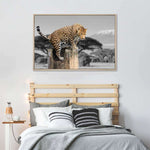Pop African Leopard Wall Art