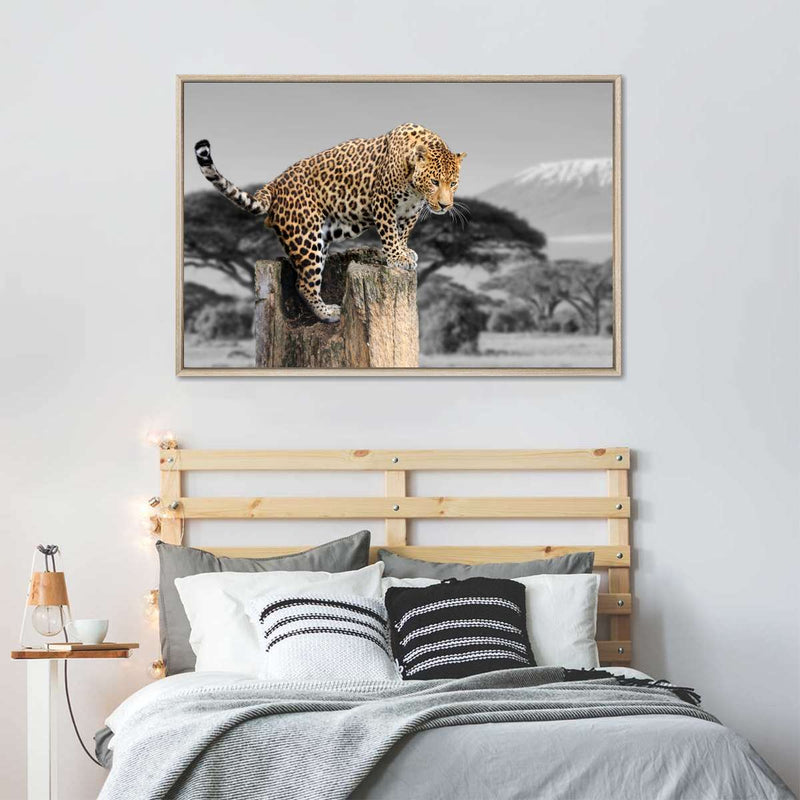 Pop African Leopard Wall Art