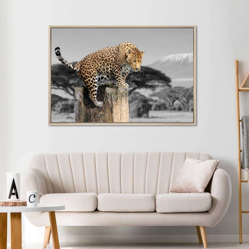 Pop African Leopard Wall Art
