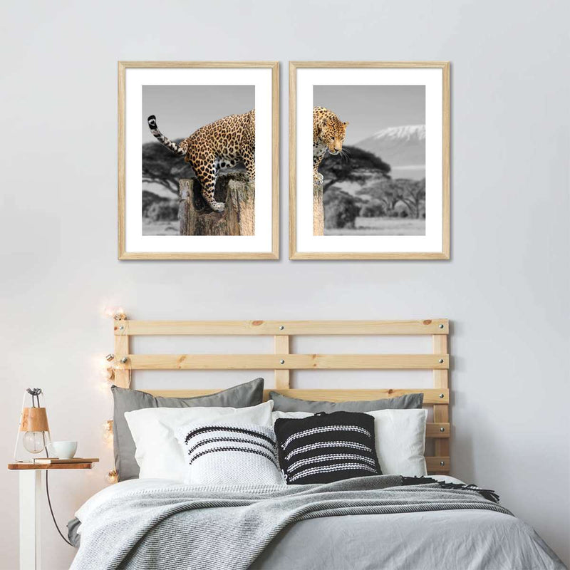 Pop African Leopard Wall Art