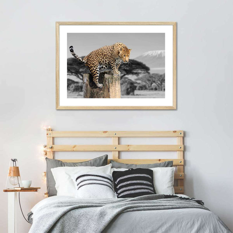 Pop African Leopard Wall Art