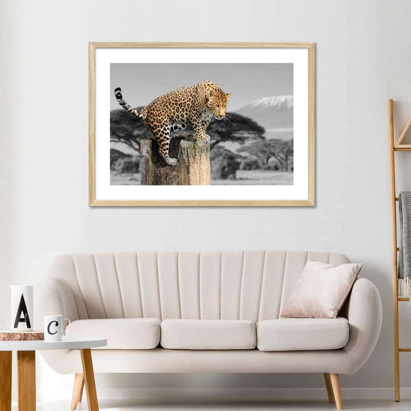 Pop African Leopard Wall Art