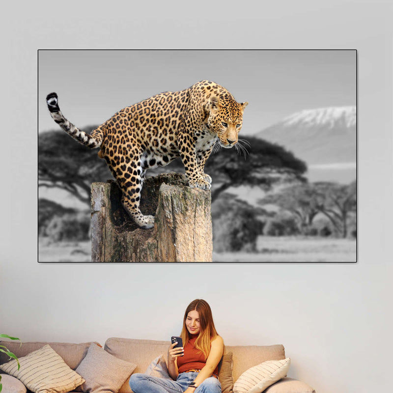 Pop African Leopard Wall Art