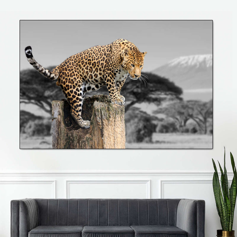 Pop African Leopard Wall Art