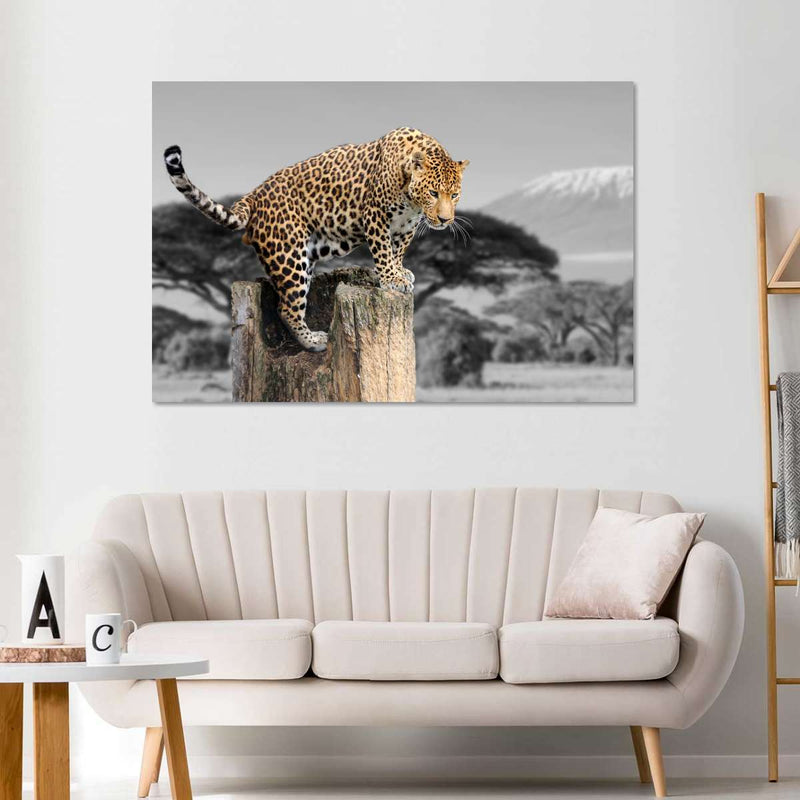 Pop African Leopard Wall Art