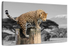 Pop African Leopard Wall Art