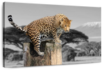 Pop African Leopard Wall Art