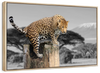 Pop African Leopard Wall Art
