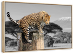 Pop African Leopard Wall Art