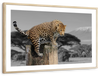Pop African Leopard Wall Art