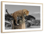 Pop African Leopard Wall Art