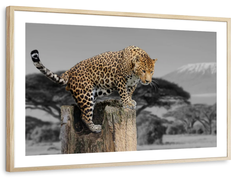 Pop African Leopard Wall Art