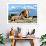 Roaring Safari Lion Wall Art