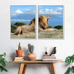 Roaring Safari Lion Wall Art