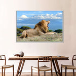 Roaring Safari Lion Wall Art