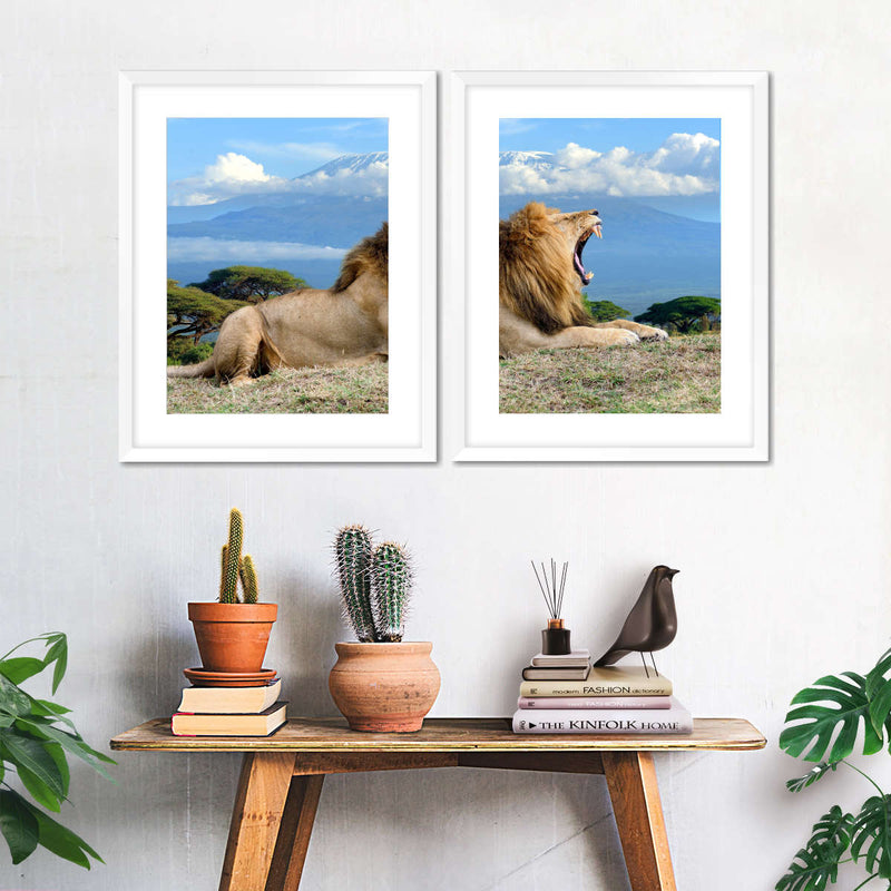 Roaring Safari Lion Wall Art