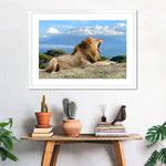 Roaring Safari Lion Wall Art