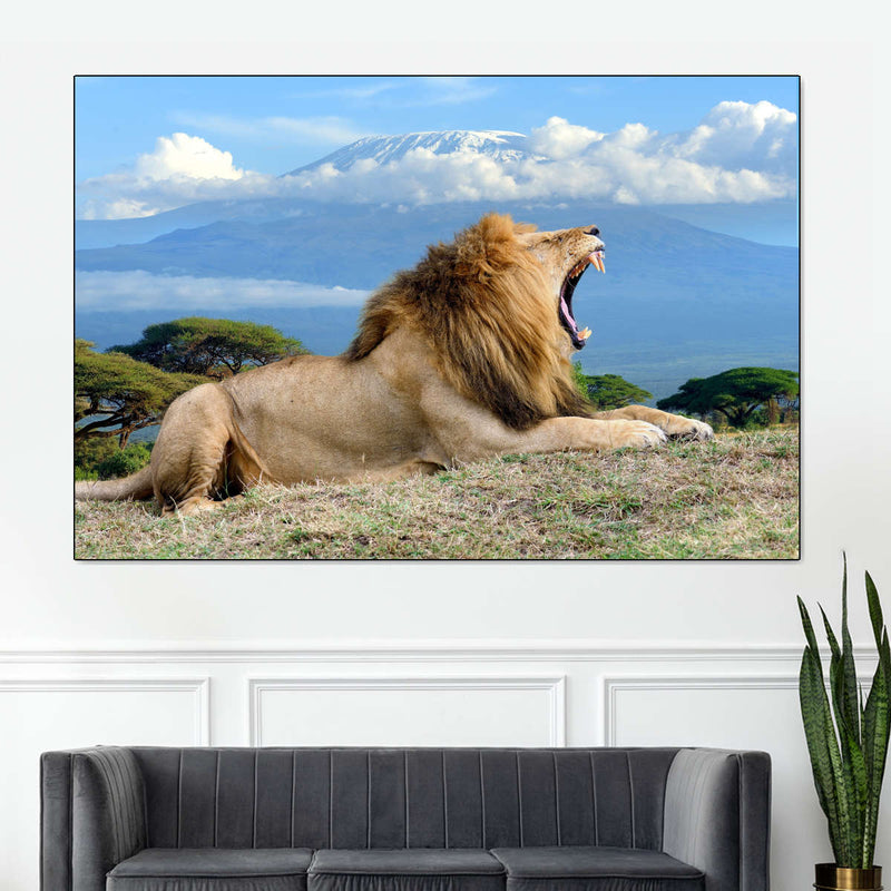 Roaring Safari Lion Wall Art