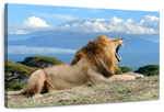 Roaring Safari Lion Wall Art