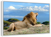 Roaring Safari Lion Wall Art