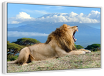Roaring Safari Lion Wall Art