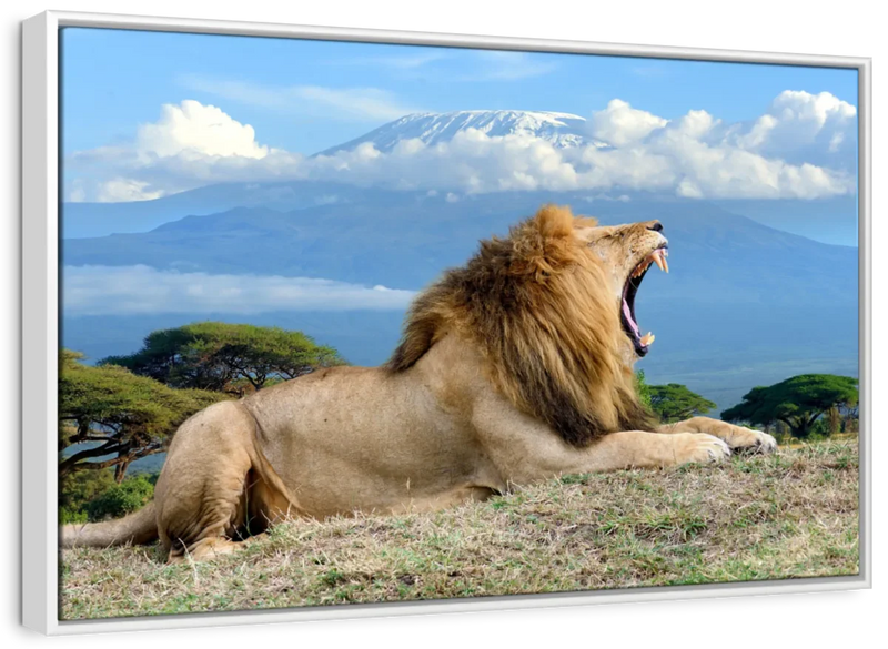 Roaring Safari Lion Wall Art