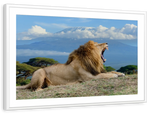 Roaring Safari Lion Wall Art