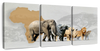 Iconic Safari Animals Wall Art