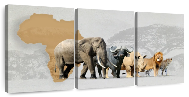 Iconic Safari Animals Wall Art