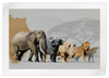 Iconic Safari Animals Wall Art