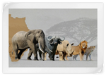 Iconic Safari Animals Wall Art