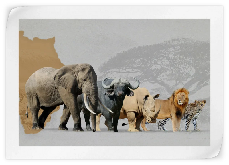 Iconic Safari Animals Wall Art