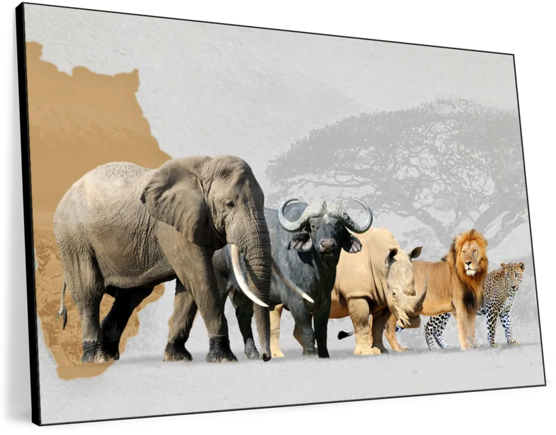 Iconic Safari Animals Wall Art