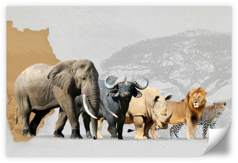 Iconic Safari Animals Wall Art