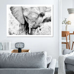 Kenyan Baby Elephant Wall Art
