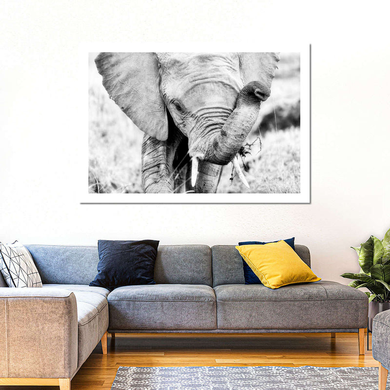 Kenyan Baby Elephant Wall Art