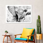 Kenyan Baby Elephant Wall Art