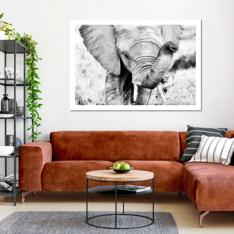 Kenyan Baby Elephant Wall Art
