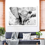 Kenyan Baby Elephant Wall Art