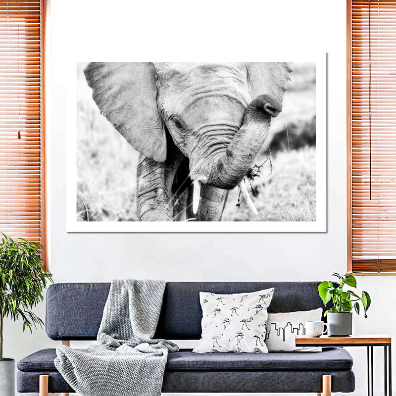 Kenyan Baby Elephant Wall Art