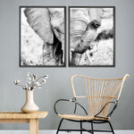 Kenyan Baby Elephant Wall Art