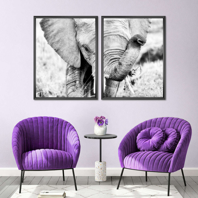 Kenyan Baby Elephant Wall Art