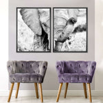 Kenyan Baby Elephant Wall Art